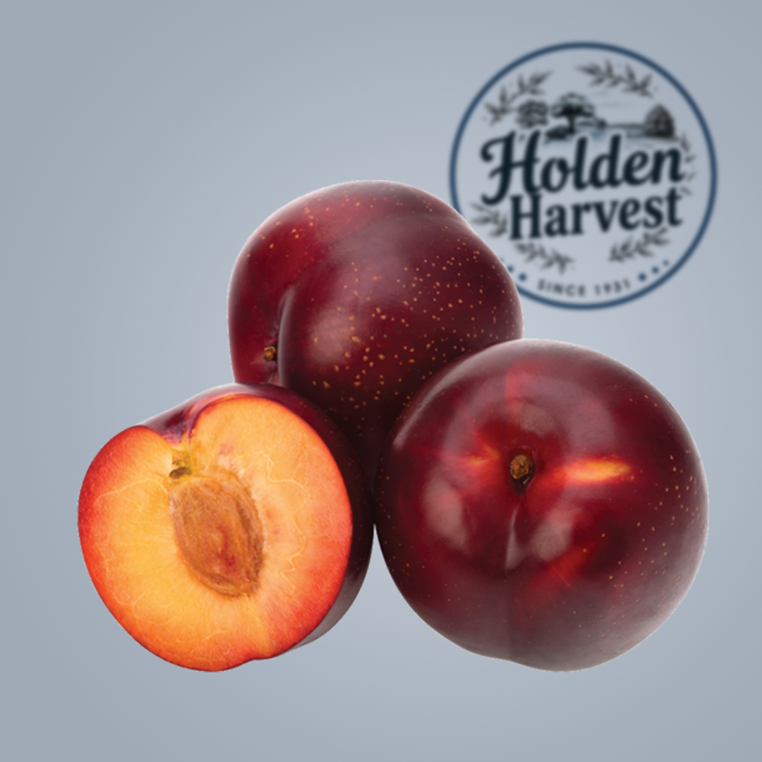 redplum1